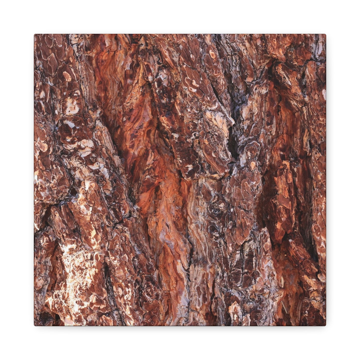 Rust and Ridges - Unique Frameless Canvas Wall Art