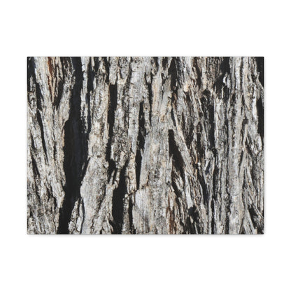 Bark Layers in Monochrome - Unique Frameless Canvas Wall Art - Art By Earth