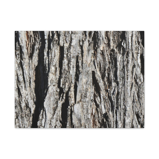 Bark Layers in Monochrome - Unique Frameless Canvas Wall Art - Art By Earth