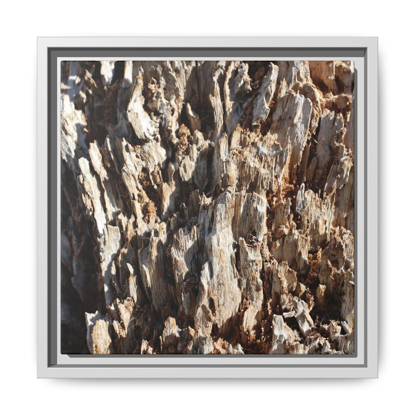 Fractal Fragments - Unique Stretched Canvas Wall Art