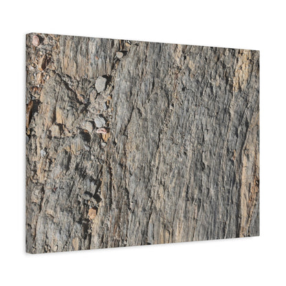 Bark Echoes - Unique Frameless Canvas Wall Art - Art By Earth