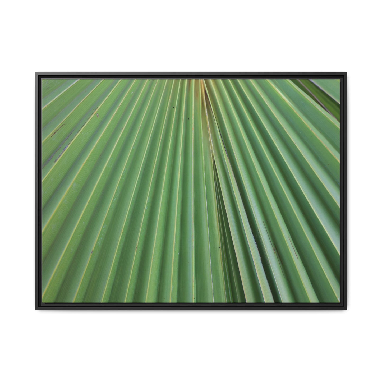 Verdant Veins - Unique Stretched Canvas Wall Art - Art By Earth