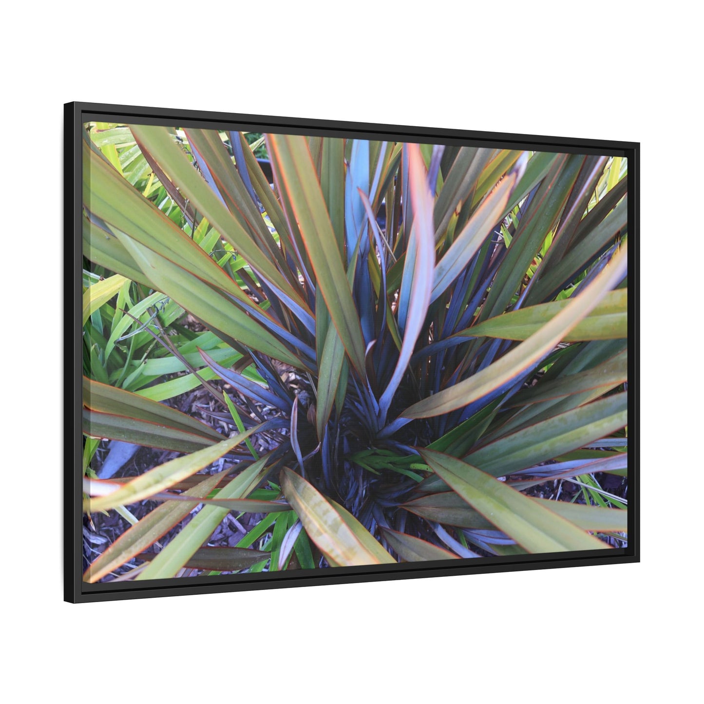 Radiant Leaves - Unique Stretched Canvas Wall Art - Art By Earth