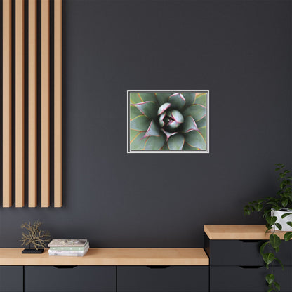 Spiky Elegance - Unique Stretched Canvas Wall Art - Art By Earth