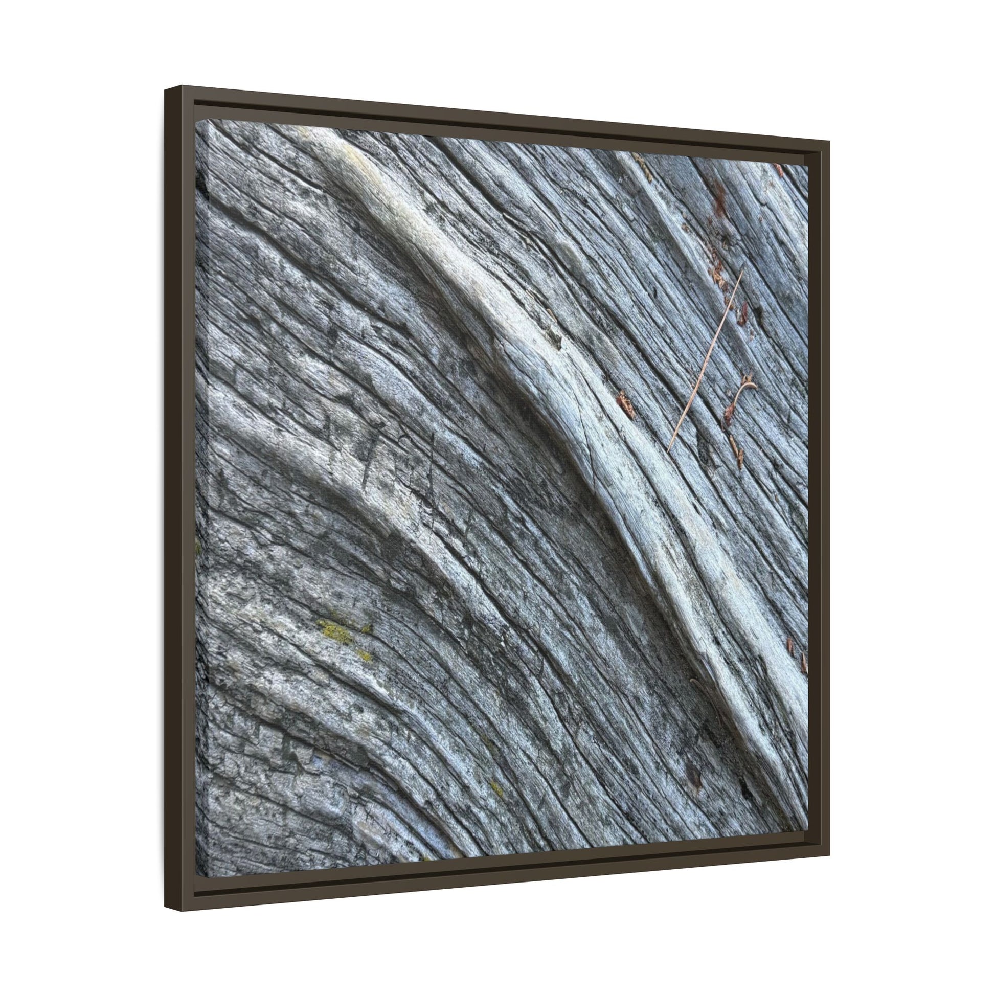 Aged Timber - Unique Stretched Canvas Wall Art - Art By Earth