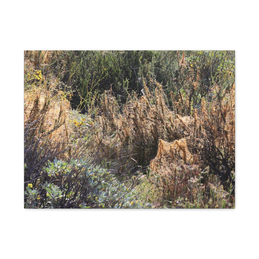 Sagebrush Desert Landscape - Unique Frameless Canvas Wall Art - Art By Earth