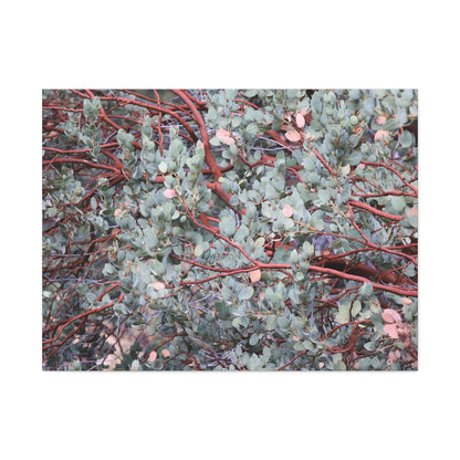 Whispers of Silver and Rust - Unique Frameless Canvas Wall Art - Art By Earth