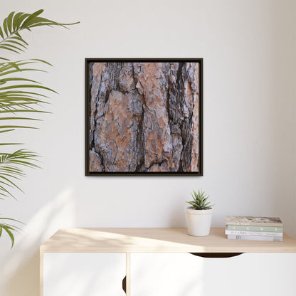 Tree Skin Symphony - Unique Stretched Canvas Wall Art - Art By Earth