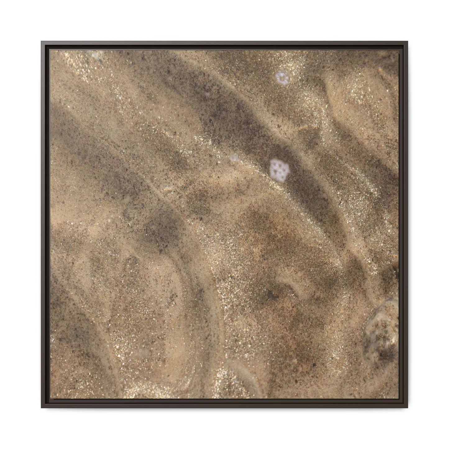 Underwater Sand Exploration - Unique Stretched Canvas Wall Art - Art By Earth
