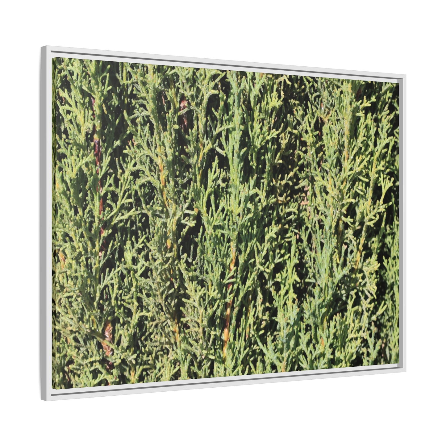 Emerald Labyrinth - Unique Stretched Canvas Wall Art - Art By Earth