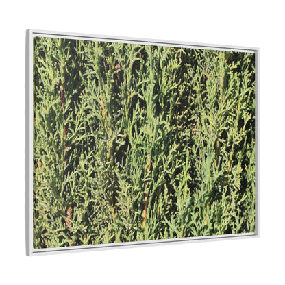 Emerald Labyrinth - Unique Stretched Canvas Wall Art - Art By Earth