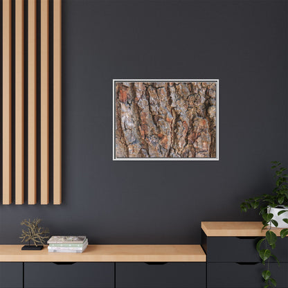 Tree's Timeworn Tale - Unique Stretched Canvas Wall Art - Art By Earth