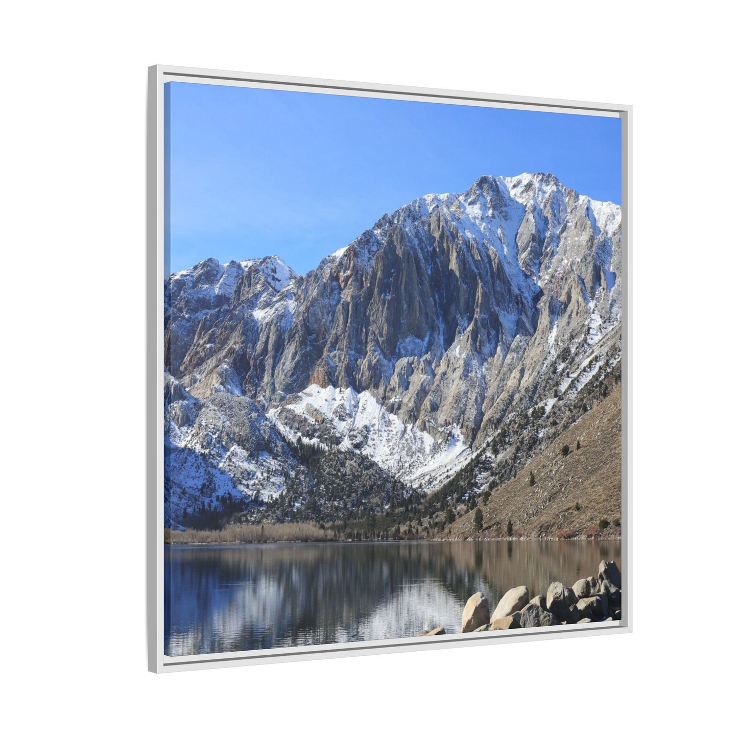 Frozen Reflection - Unique Stretched Canvas Wall Art