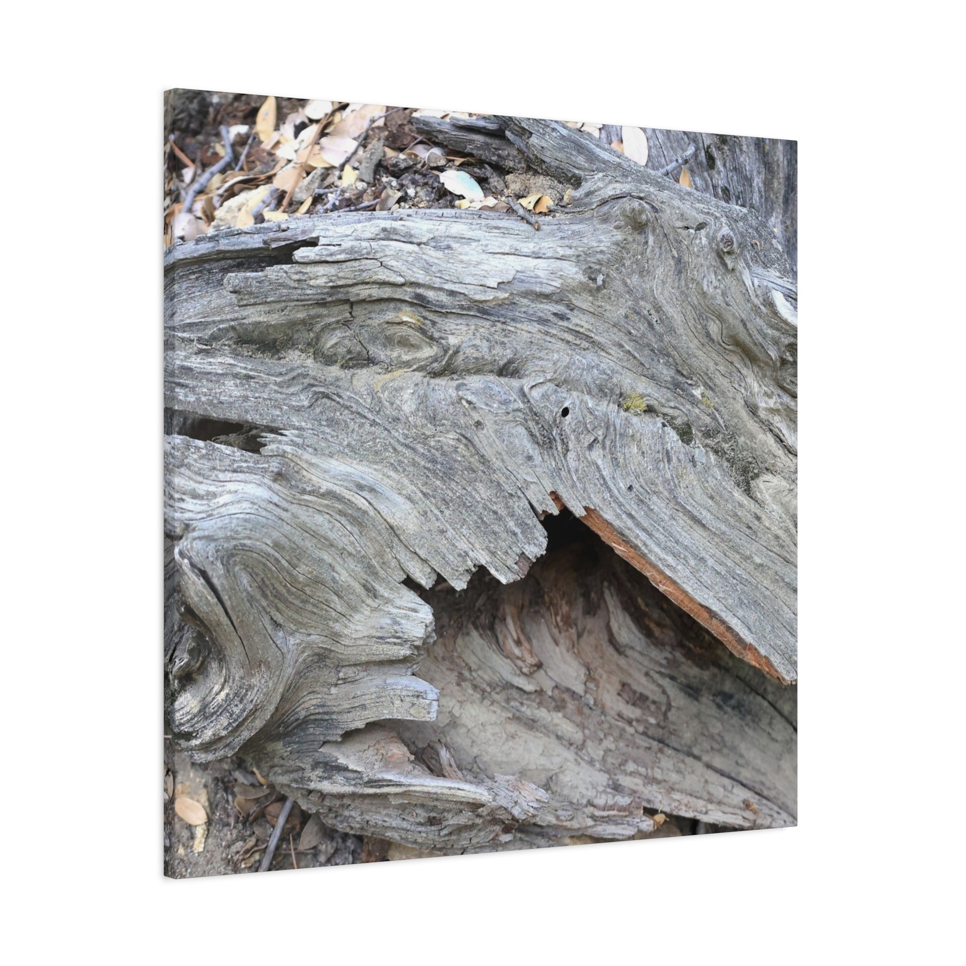 Whispers of Ancient Wood - Unique Frameless Canvas Wall Art - Art By Earth