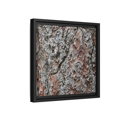 Bark Texture Symphony - Unique Stretched Canvas Wall Art - Art By Earth