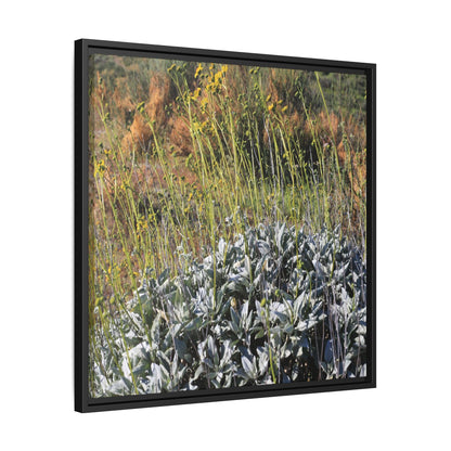Arid Landscape with Yellow Flowers - Unique Stretched Canvas Wall Art - Art By Earth