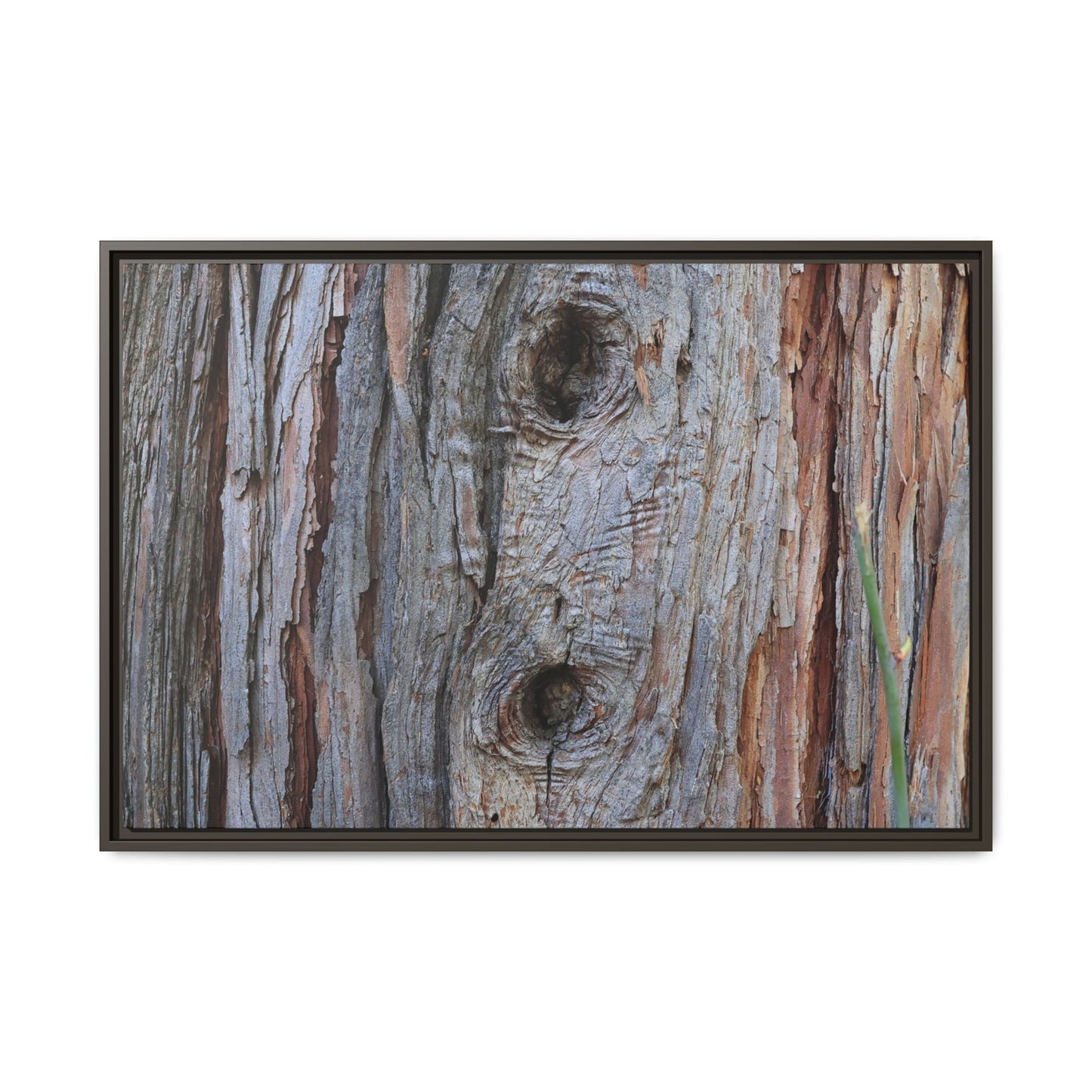 Knotty Nature - Unique Stretched Canvas Wall Art - Art By Earth