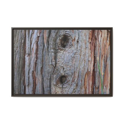 Knotty Nature - Unique Stretched Canvas Wall Art - Art By Earth