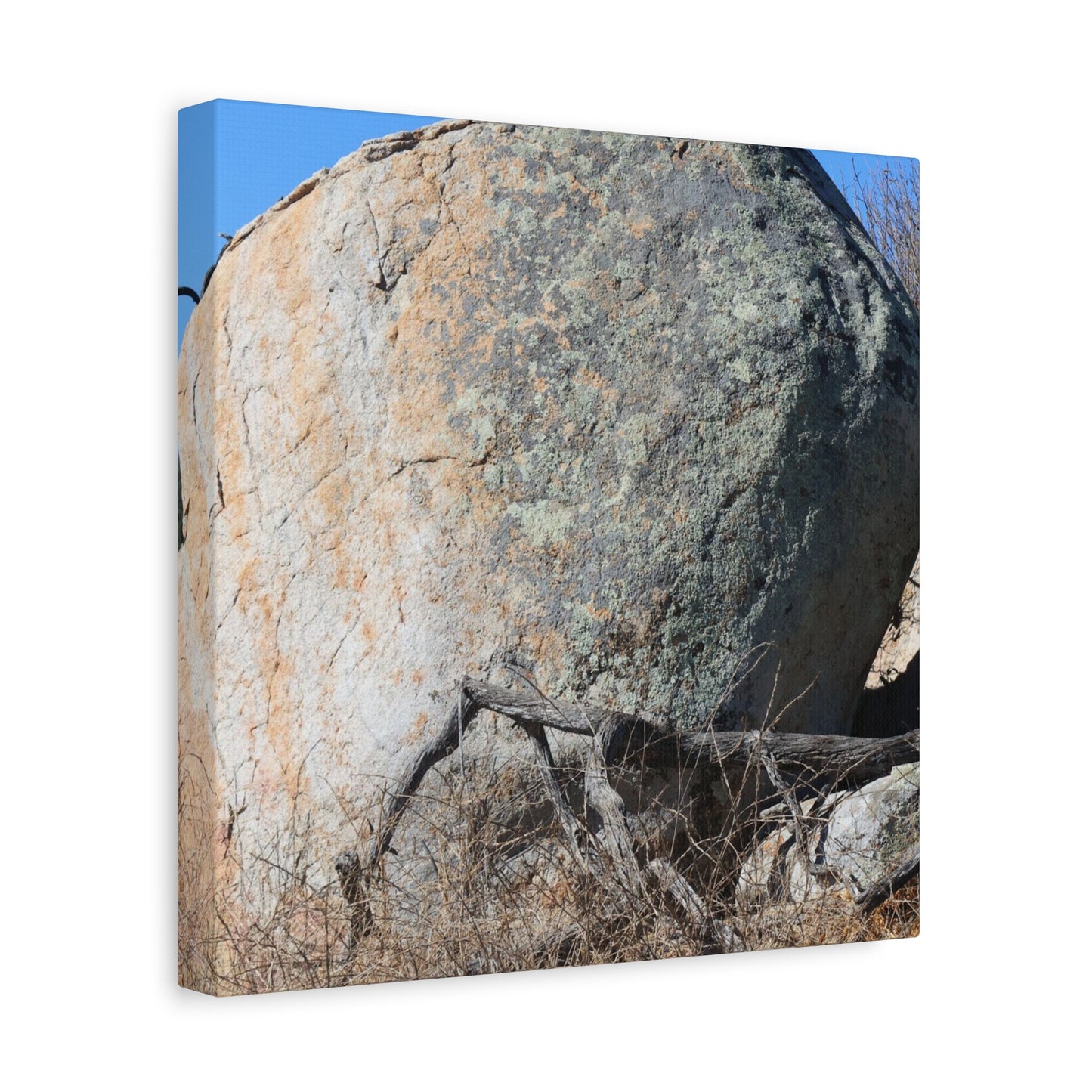 Boulder's Solitude - Unique Stretched Canvas Wall Art - Art By Earth