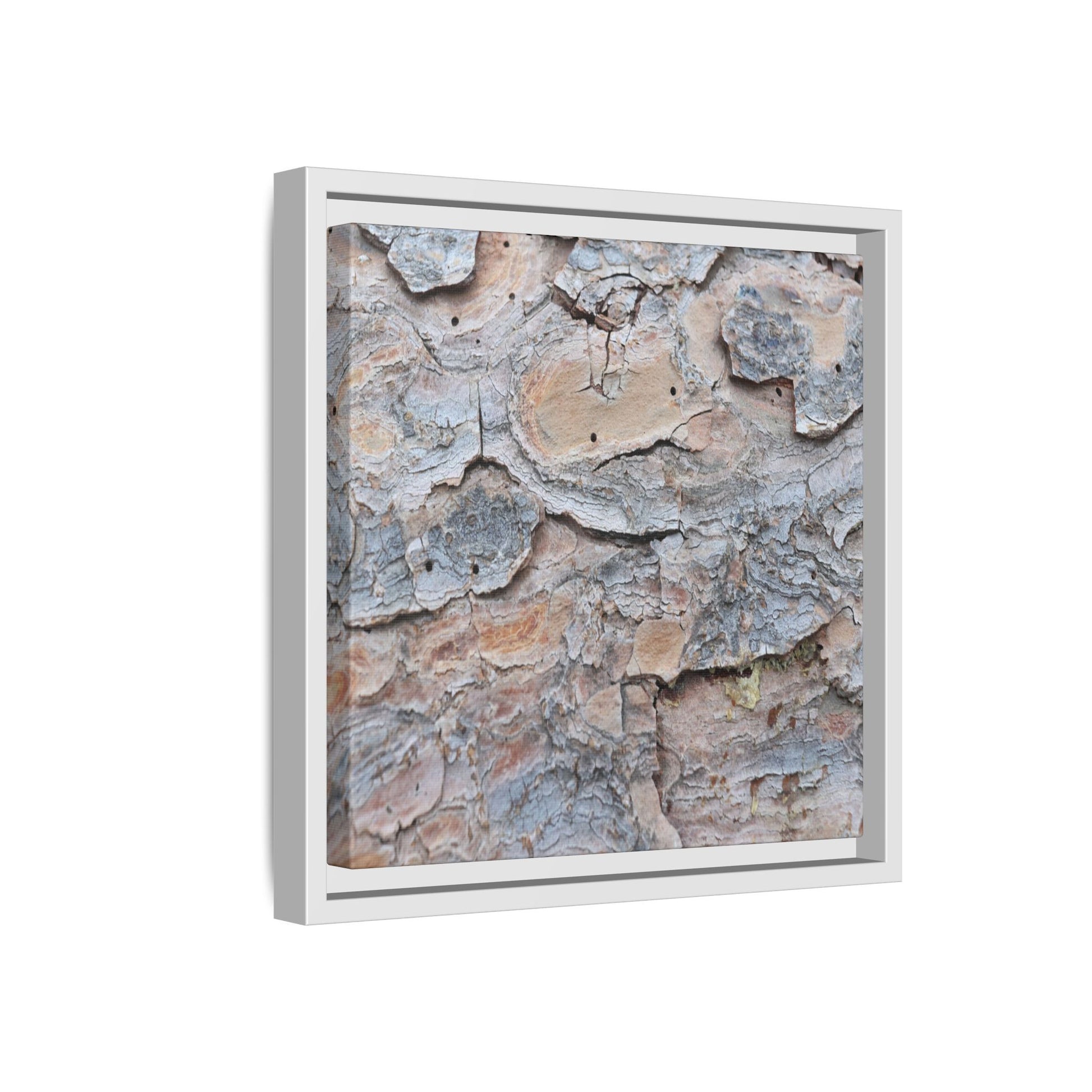 Peeling Memories - Unique Stretched Canvas Wall Art - Art By Earth