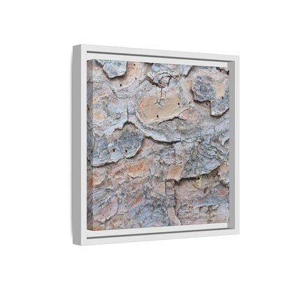 Peeling Memories - Unique Stretched Canvas Wall Art - Art By Earth