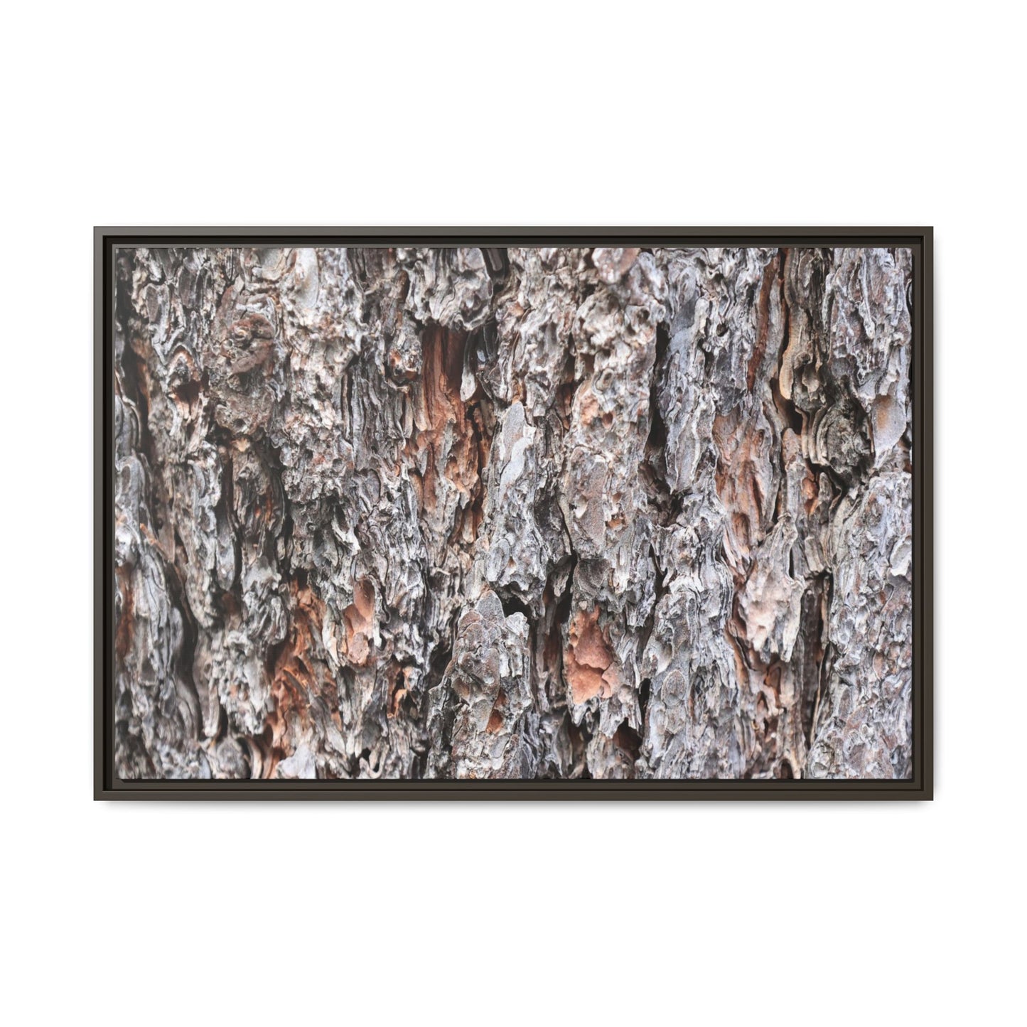 Rugged Cortex - Unique Stretched Canvas Wall Art - Art By Earth