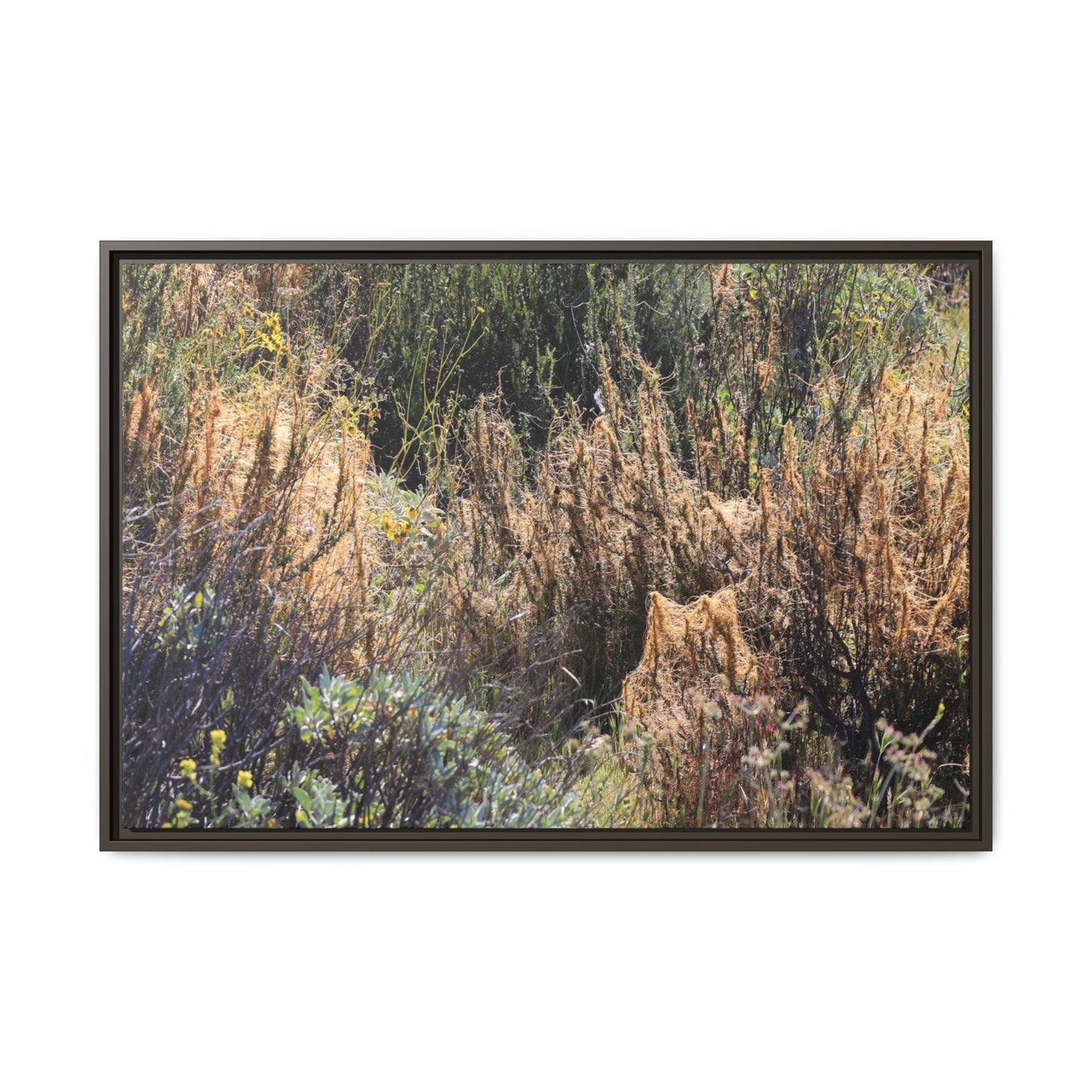 Drought-Stricken Landscape - Unique Stretched Canvas Wall Art - Art By Earth