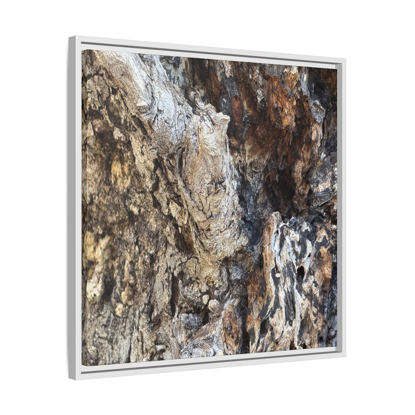 Ancient Tree Texture - Unique Stretched Canvas Wall Art - Art By Earth