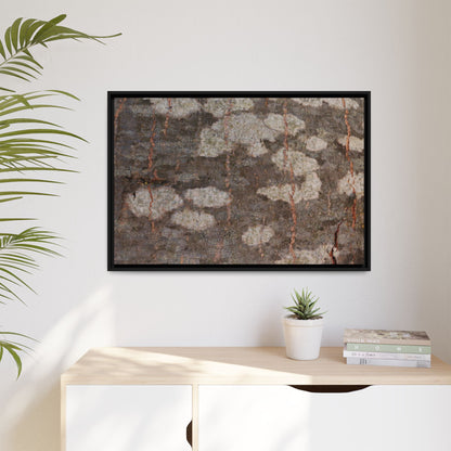 Lichen's Legacy - Unique Stretched Canvas Wall Art - Art By Earth