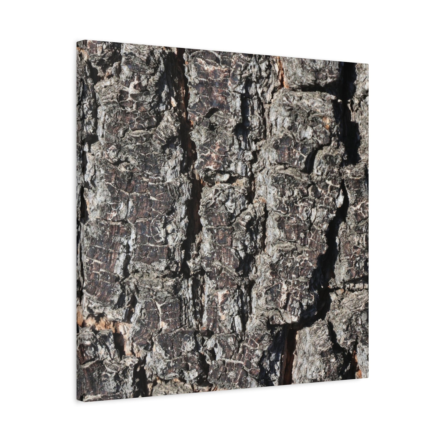 Cracked Skin of Earth - Unique Frameless Canvas Wall Art - Art By Earth