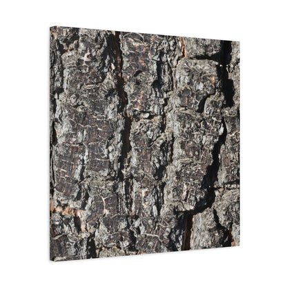 Cracked Skin of Earth - Unique Frameless Canvas Wall Art - Art By Earth