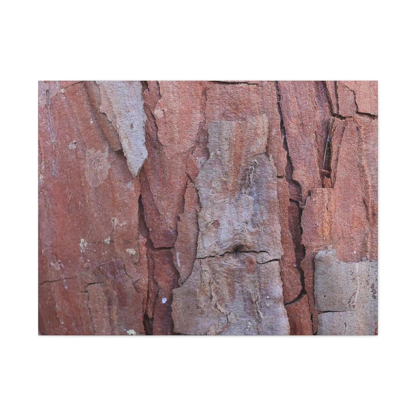 Fractal Rust - Unique Frameless Canvas Wall Art - Art By Earth