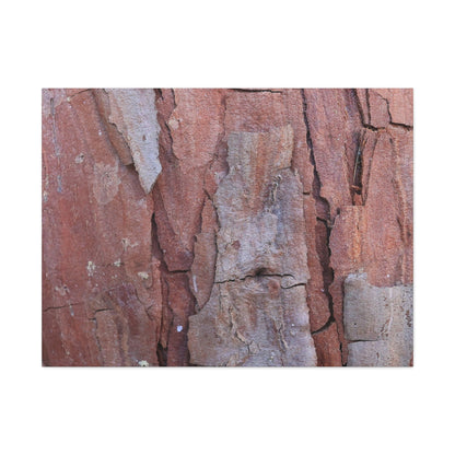 Fractal Rust - Unique Frameless Canvas Wall Art - Art By Earth