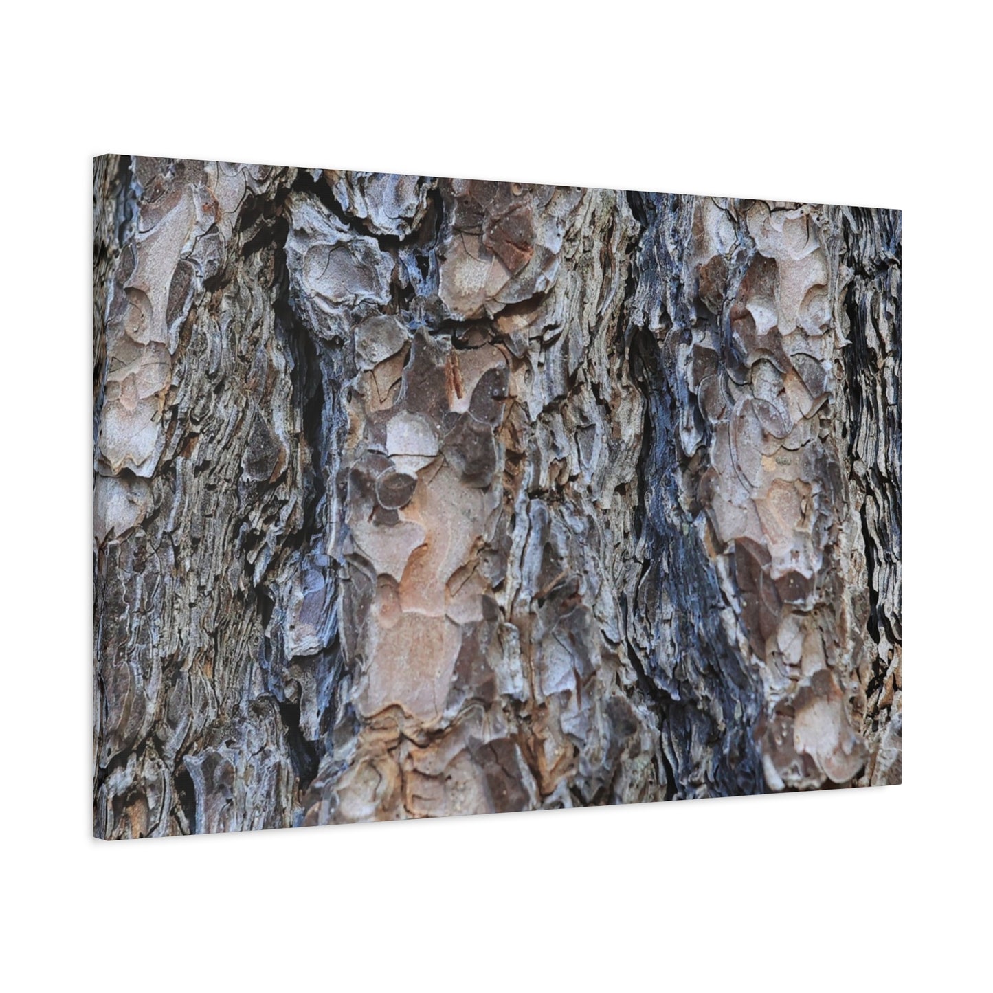 Arboreal Patterns - Unique Frameless Canvas Wall Art - Art By Earth
