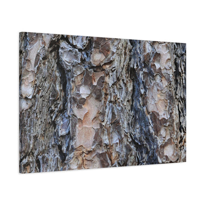 Arboreal Patterns - Unique Frameless Canvas Wall Art - Art By Earth