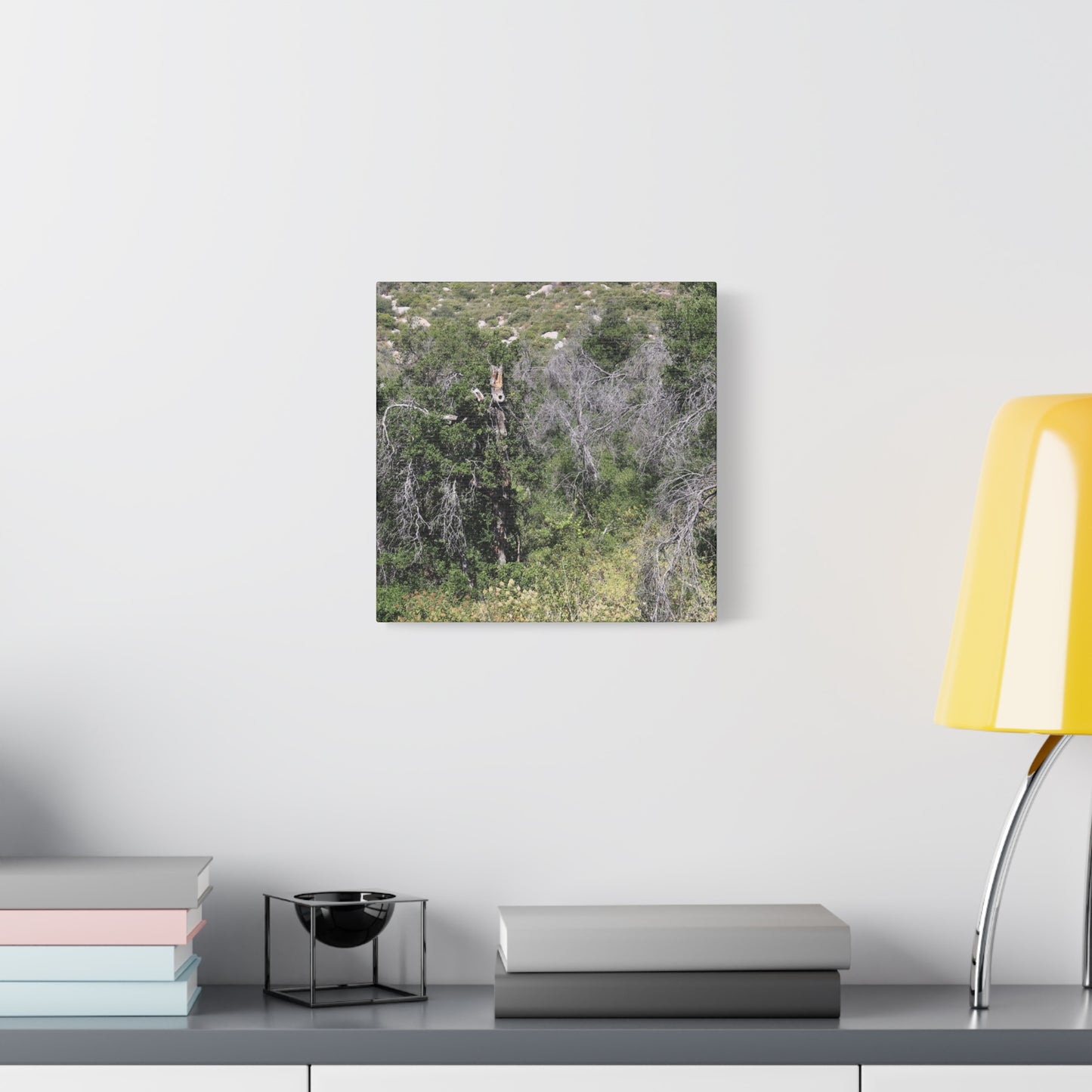 Drought-Stricken Forest - Unique Frameless Canvas Wall Art