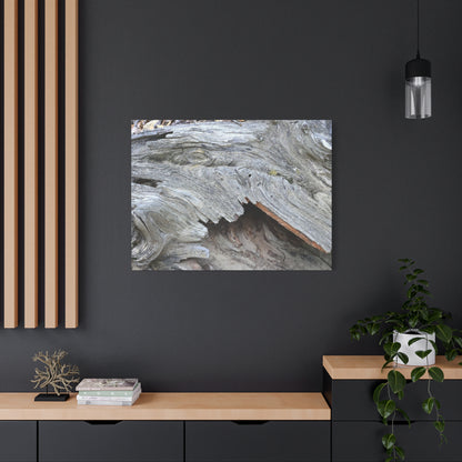 Whispers of Ancient Wood - Unique Frameless Canvas Wall Art - Art By Earth