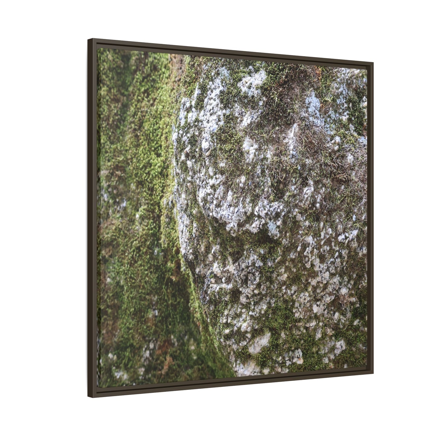 Lichen Landscape - Unique Stretched Canvas Wall Art - Art By Earth