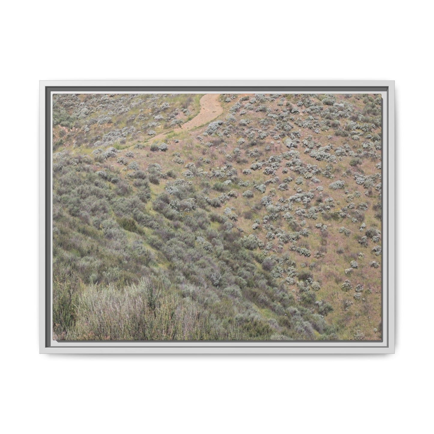Arid Landscape with Winding Path - Unique Stretched Canvas Wall Art - Art By Earth