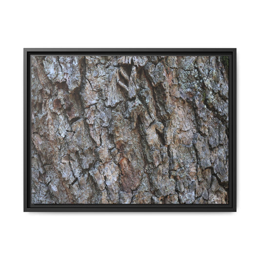 Woodland Skin - Unique Stretched Canvas Wall Art - Art By Earth