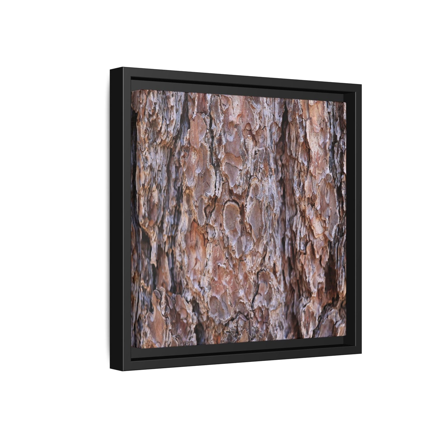 Woody Layers - Unique Stretched Canvas Wall Art - Art By Earth