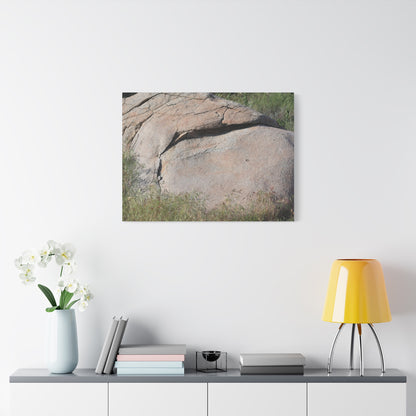 Granite Boulder in Desert Scrub - Unique Frameless Canvas Wall Art - Art By Earth