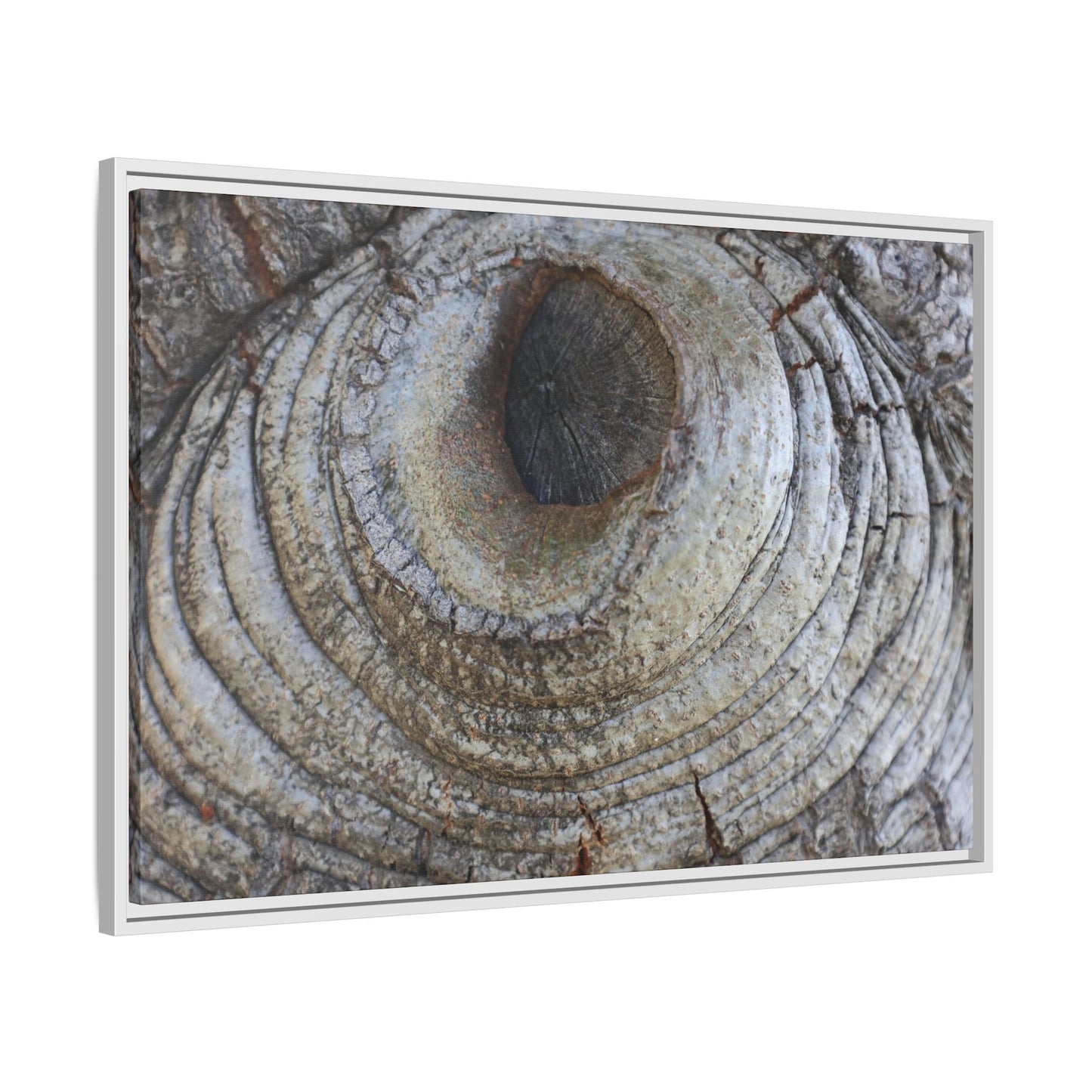 Echoes of Time - Unique Stretched Canvas Wall Art - Art By Earth