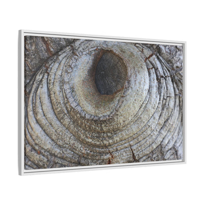 Echoes of Time - Unique Stretched Canvas Wall Art - Art By Earth