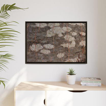 Lichen's Legacy - Unique Stretched Canvas Wall Art - Art By Earth
