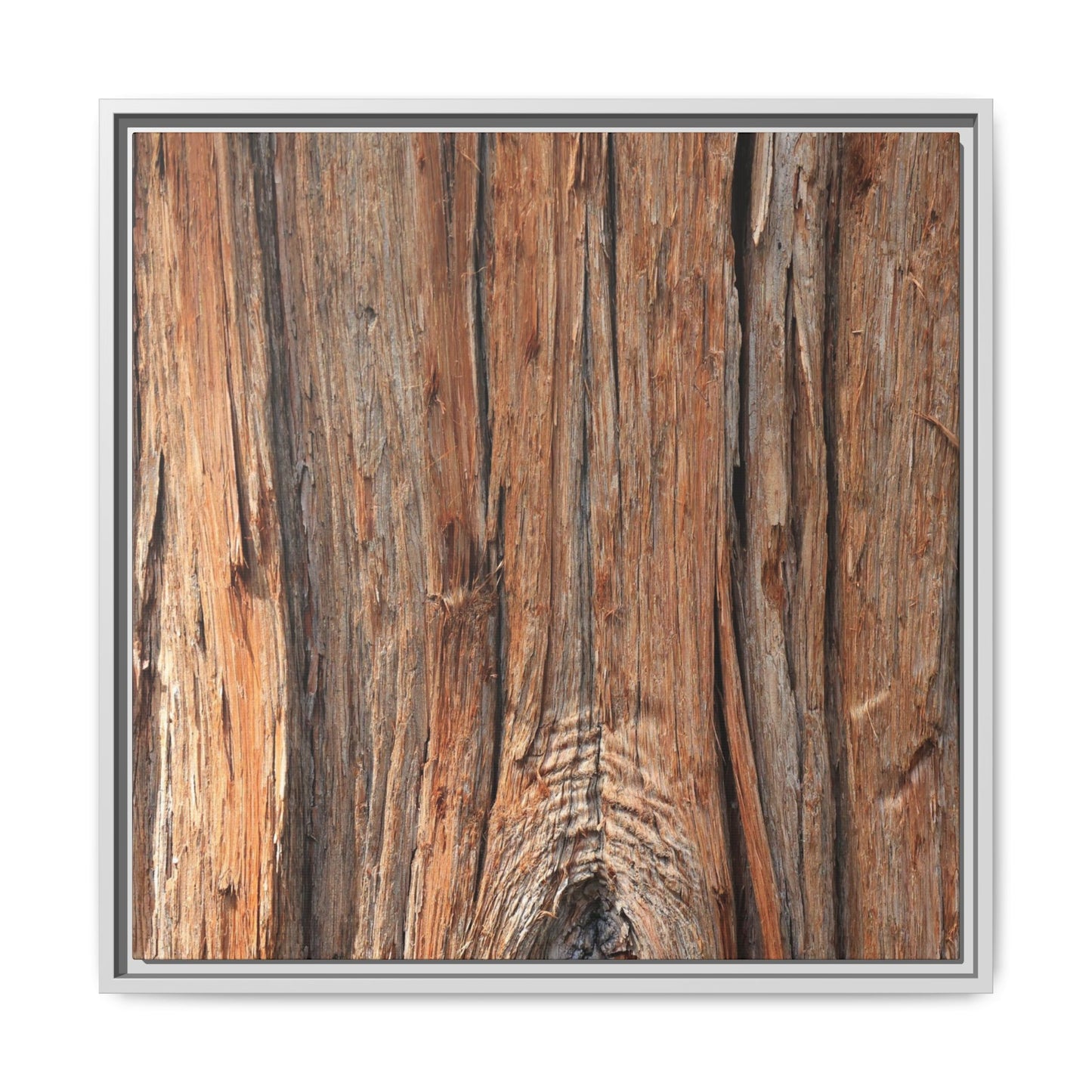 Echoes of Timber - Unique Stretched Canvas Wall Art - Art By Earth