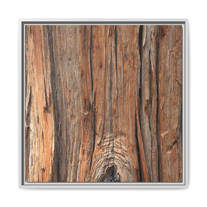 Echoes of Timber - Unique Stretched Canvas Wall Art - Art By Earth