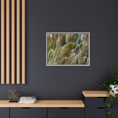 Moss Symphony - Unique Stretched Canvas Wall Art