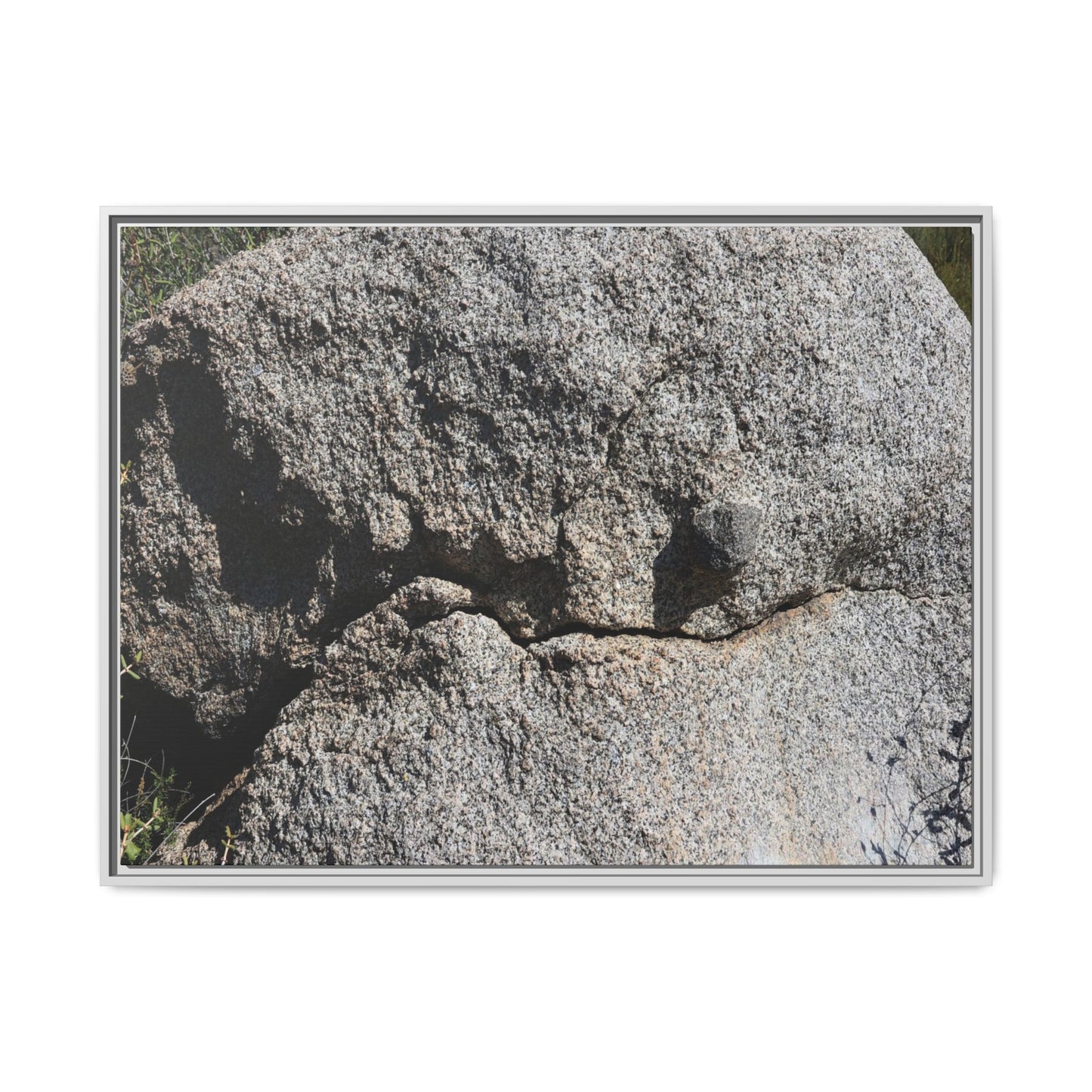 Stone Skull in Desert - Unique Stretched Canvas Wall Art