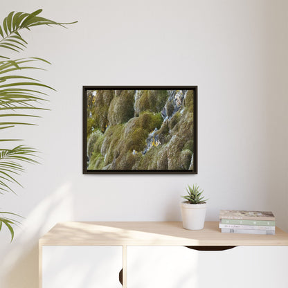 Moss Symphony - Unique Stretched Canvas Wall Art
